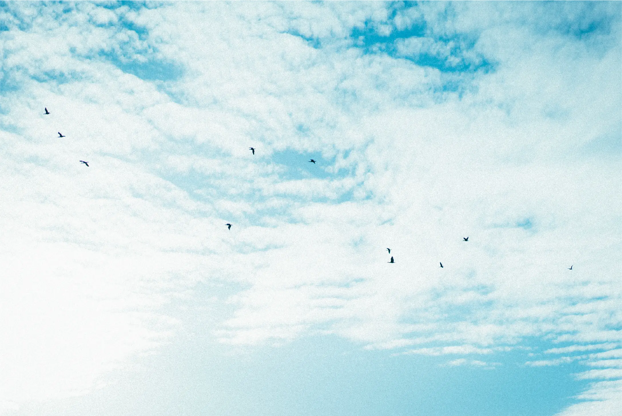 Historias servicios integrales que disparan tu crecimiento digital