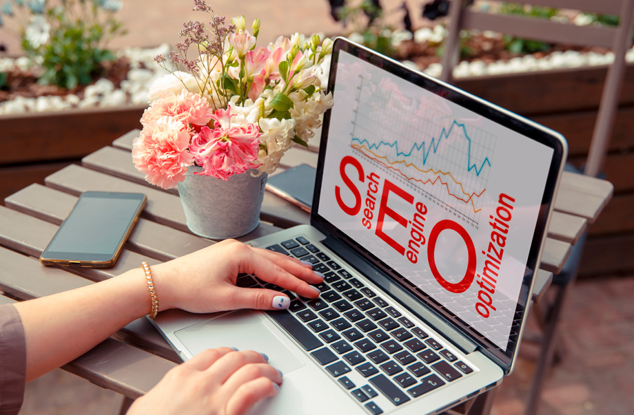 Screaming Frog para SEO